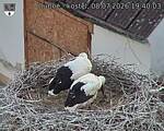 Capi_Dubne_20260708_194003.jpg