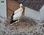 Capi_Dubne_20260708_194503.jpg