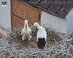 Capi_Dubne_20260708_200503.jpg
