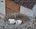 Capi_Dubne_20260708_201002.jpg