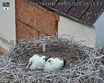 Capi_Dubne_20260708_201503.jpg