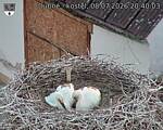 Capi_Dubne_20260708_204003.jpg