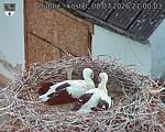 Capi_Dubne_20260708_210003.jpg