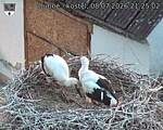 Capi_Dubne_20260708_212503.jpg