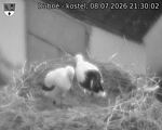 Capi_Dubne_20260708_213002.jpg
