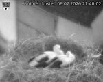 Capi_Dubne_20260708_214002.jpg