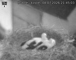 Capi_Dubne_20260708_214503.jpg
