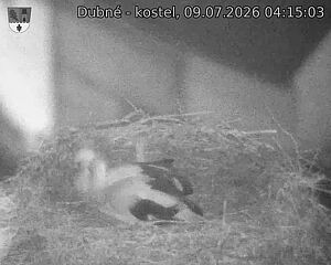 Capi_Dubne_20260709_041503.jpg (1350&nbsp;x&nbsp;1080)