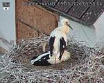 Capi_Dubne_20260709_055004.jpg