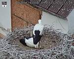Capi_Dubne_20260709_071504.jpg
