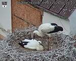 Capi_Dubne_20260709_072003.jpg