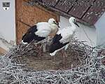Capi_Dubne_20260709_104003.jpg