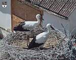 Capi_Dubne_20260709_145502.jpg