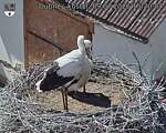 Capi_Dubne_20260709_152004.jpg