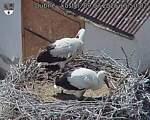 Capi_Dubne_20260709_155002.jpg
