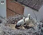 Capi_Dubne_20260709_162502.jpg