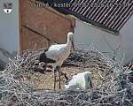 Capi_Dubne_20260709_165504.jpg