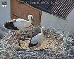 Capi_Dubne_20260709_171503.jpg