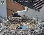 Capi_Dubne_20260709_172003.jpg