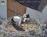 Capi_Dubne_20260709_172504.jpg