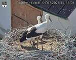Capi_Dubne_20260709_175504.jpg
