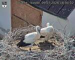 Capi_Dubne_20260709_180002.jpg