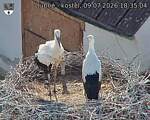 Capi_Dubne_20260709_183504.jpg