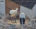 Capi_Dubne_20260709_184003.jpg