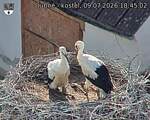 Capi_Dubne_20260709_184502.jpg