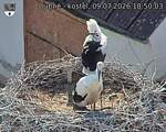 Capi_Dubne_20260709_185003.jpg
