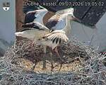 Capi_Dubne_20260709_190502.jpg