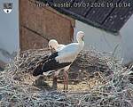 Capi_Dubne_20260709_191004.jpg