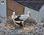 Capi_Dubne_20260709_192003.jpg
