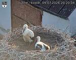Capi_Dubne_20260709_202004.jpg
