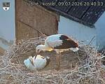 Capi_Dubne_20260709_204003.jpg