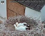 Capi_Dubne_20260709_210003.jpg