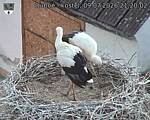 Capi_Dubne_20260709_212002.jpg