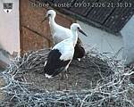 Capi_Dubne_20260709_213003.jpg