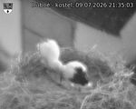 Capi_Dubne_20260709_213503.jpg