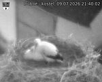 Capi_Dubne_20260709_214002.jpg