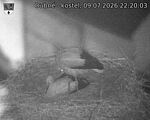 Capi_Dubne_20260709_222003.jpg