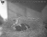 Capi_Dubne_20260710_040002.jpg