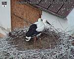 Capi_Dubne_20260710_094004.jpg