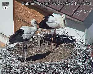 preload