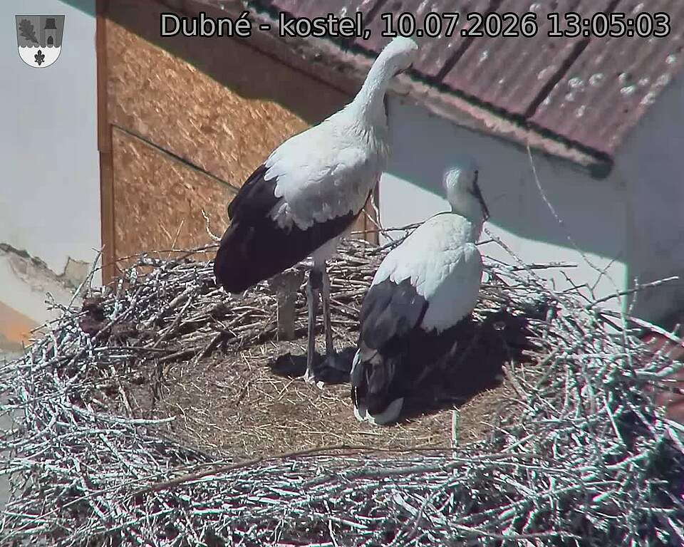 preload