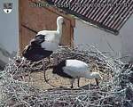 Capi_Dubne_20260710_161503.jpg