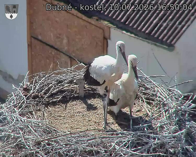 preload