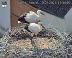 Capi_Dubne_20260710_175503.jpg