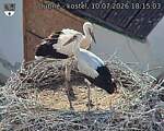 Capi_Dubne_20260710_181503.jpg