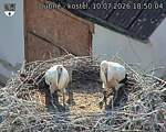 Capi_Dubne_20260710_185004.jpg